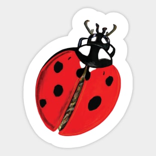 Lady Bug Illustration Sticker